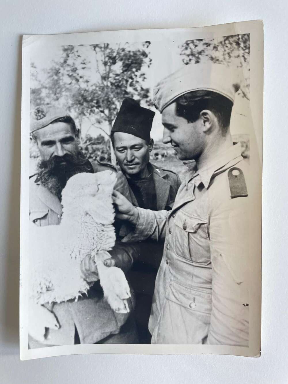 WW2 Press Photographs. - Italian German Comrades with Lamb