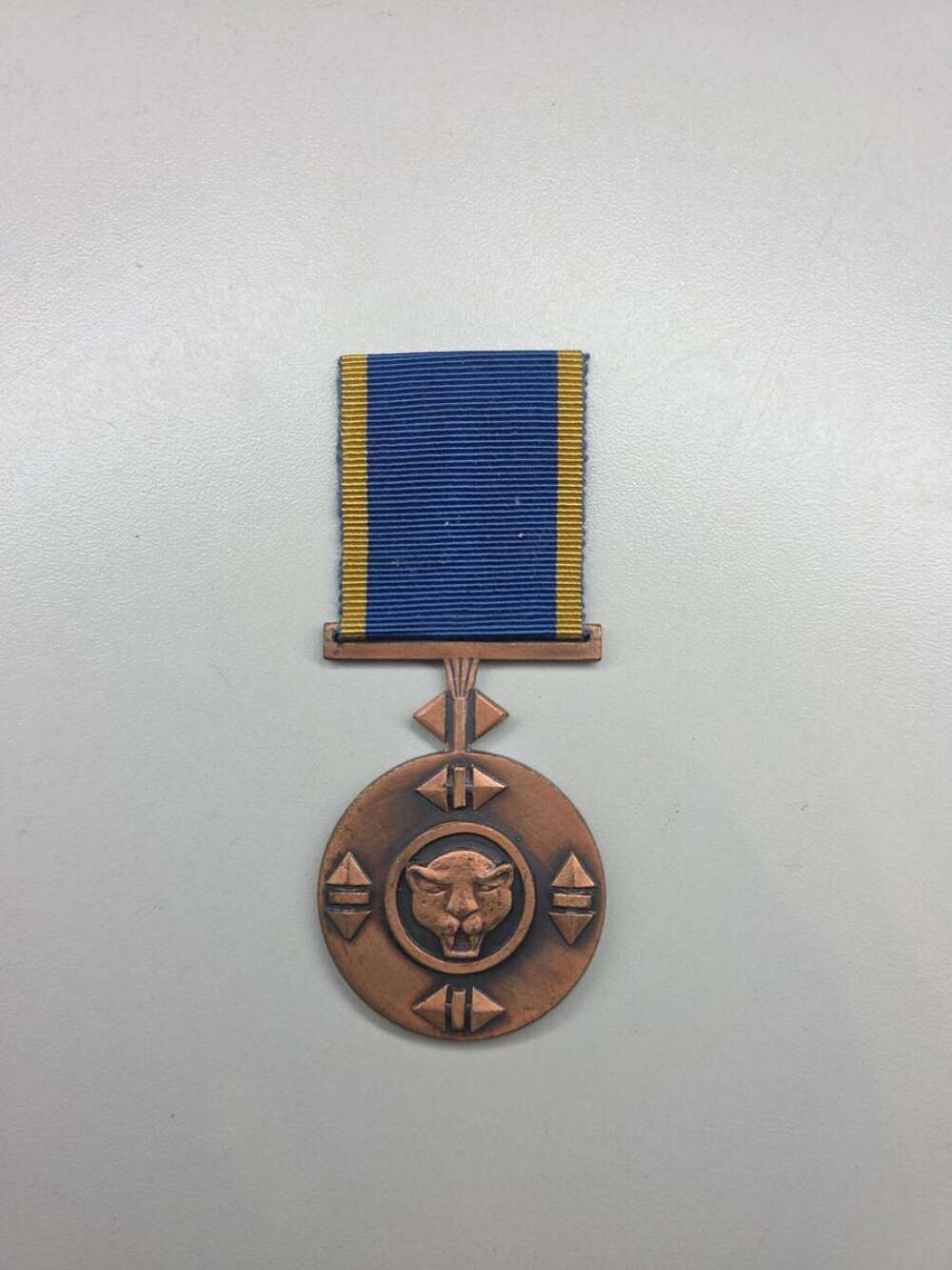 Bophuthatswana Defence Force Service Medal (Bronze)