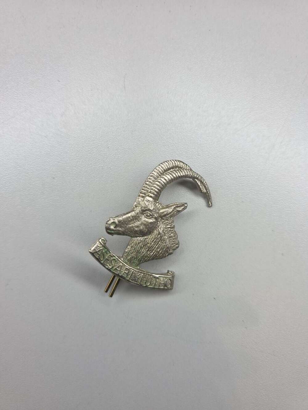Rhodesian Armoured Car Regiment Cap Badge &ndash; &ldquo;ASASABULUTHO&rdquo;