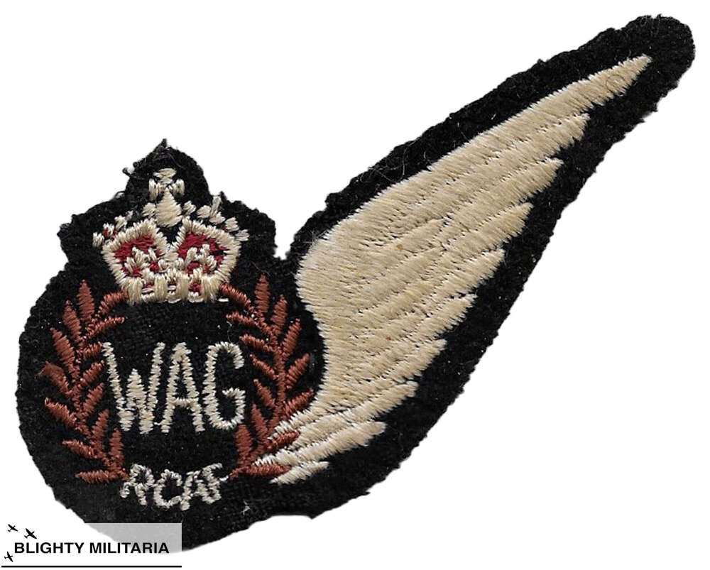 Original WW2 RCAF Wireless Operator Air Gunner Brevet - Flat Pattern