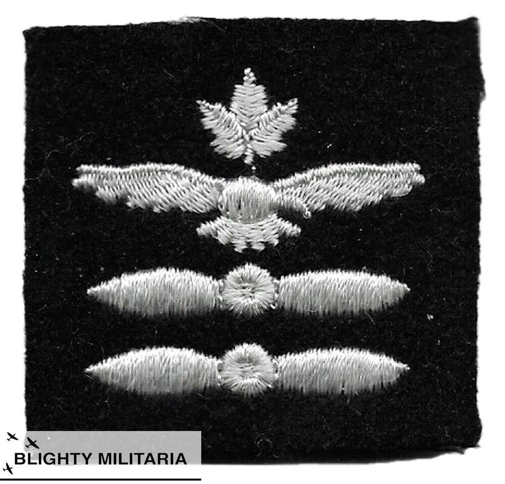 Royal Canadian Air Cadets Patch - Level 2 Proficiency Badge