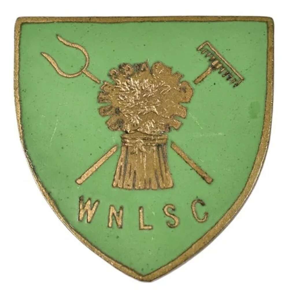World War One Womens National Land Services Corps WNLSC Workers Enamel Badge