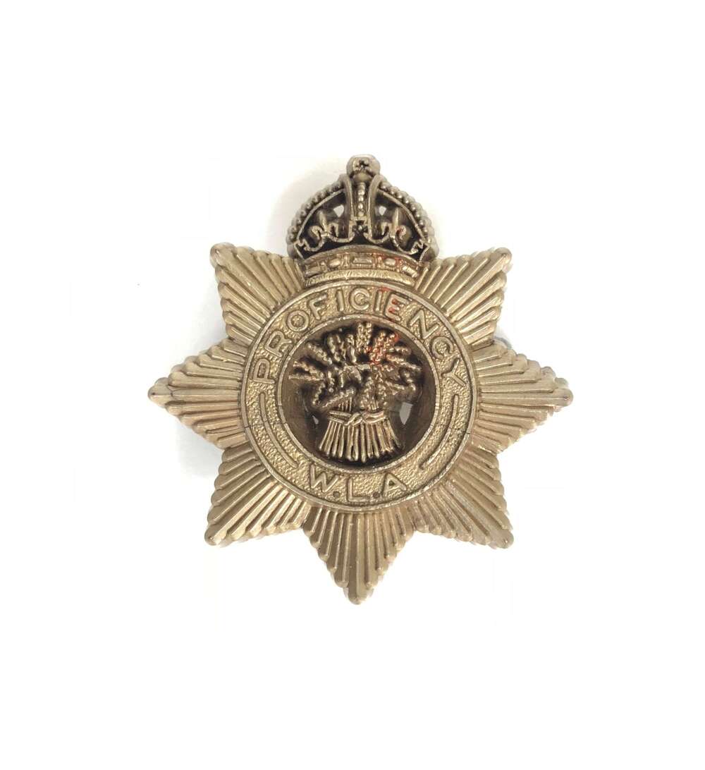 WW2 Womens Land Army proficiency plastic economy issue WLA badge