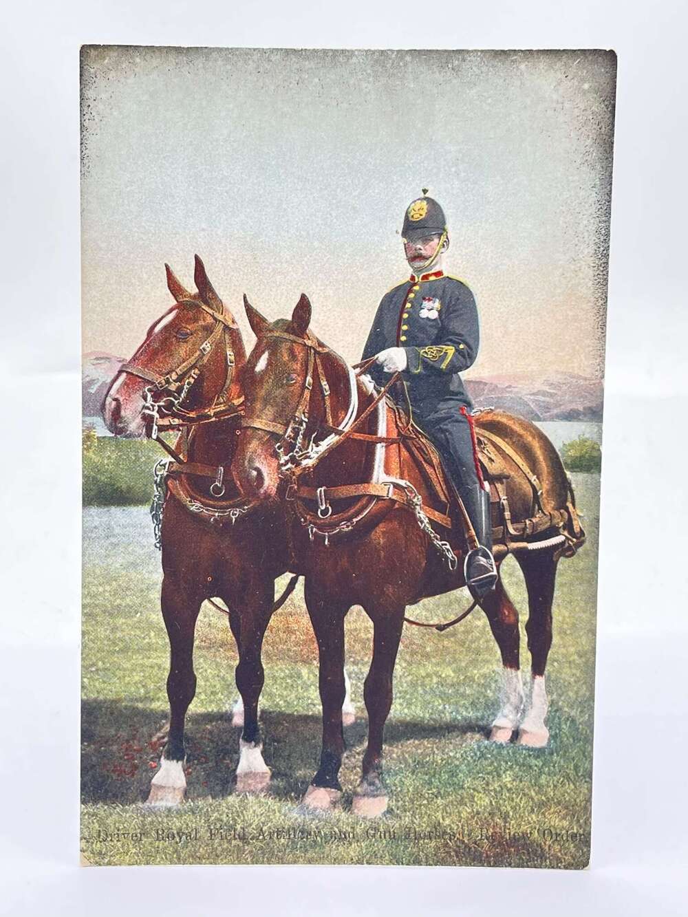Pre WW1 Driver Royal Field Artillery & Gun Horse Review Order Postcard