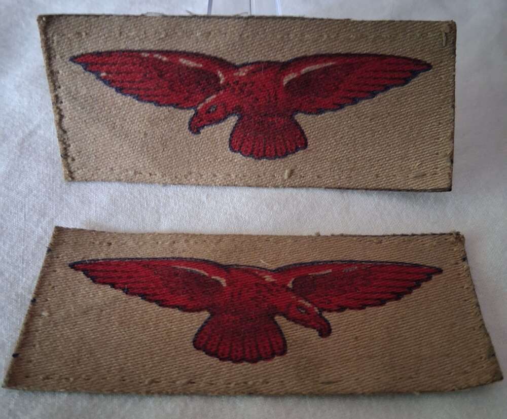 WW2 RAF Tropical badges