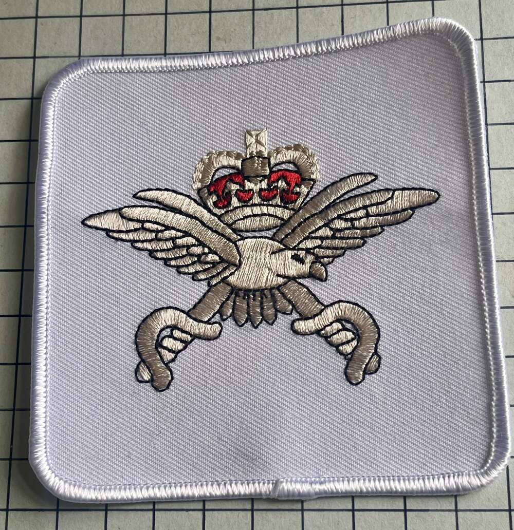 Royal Air Force (RAF) Physical Training Instructor (PTI) Vest Badge