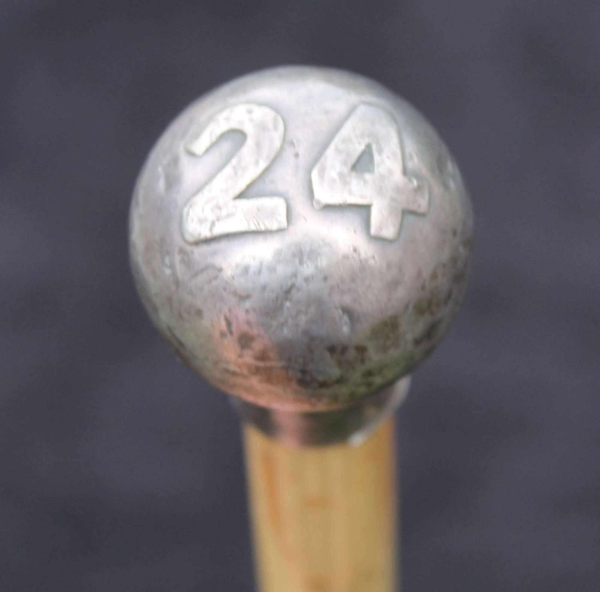 24th Regiment Of Foot Silver Swagger Stick