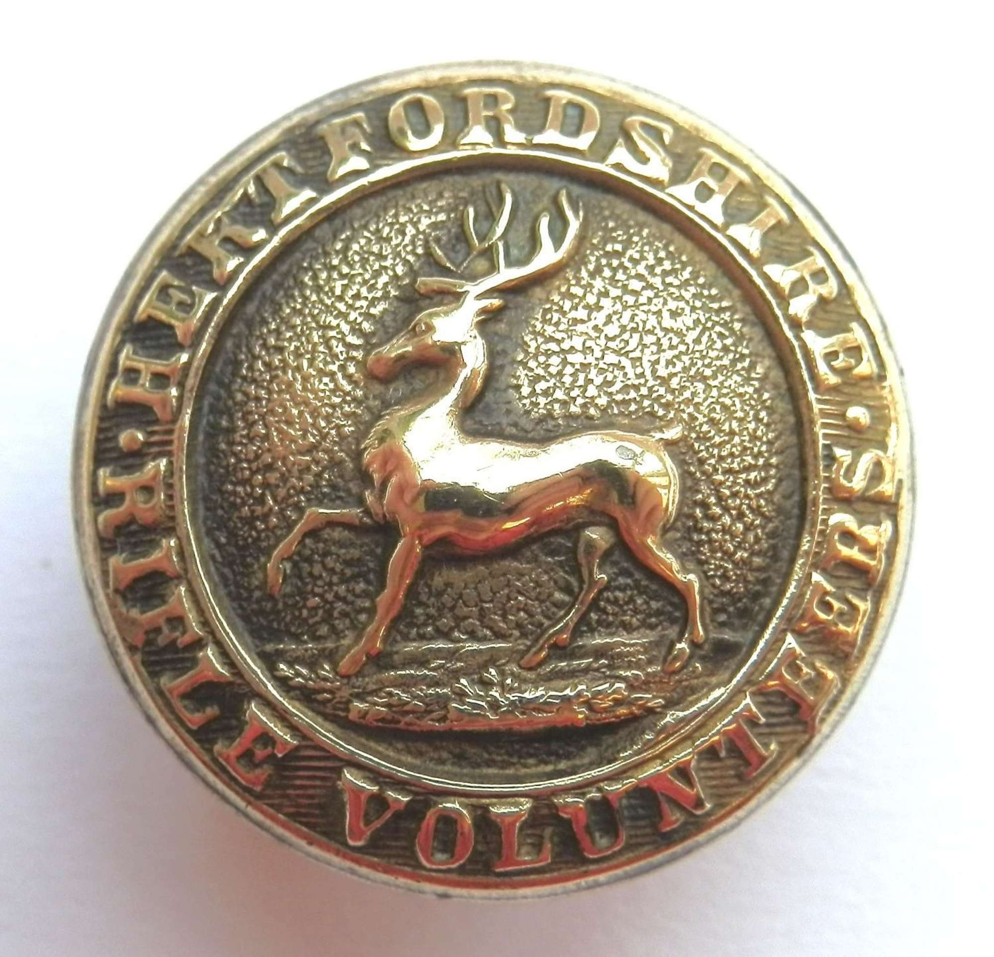 Hertfordshire Rifle Volunteers Button