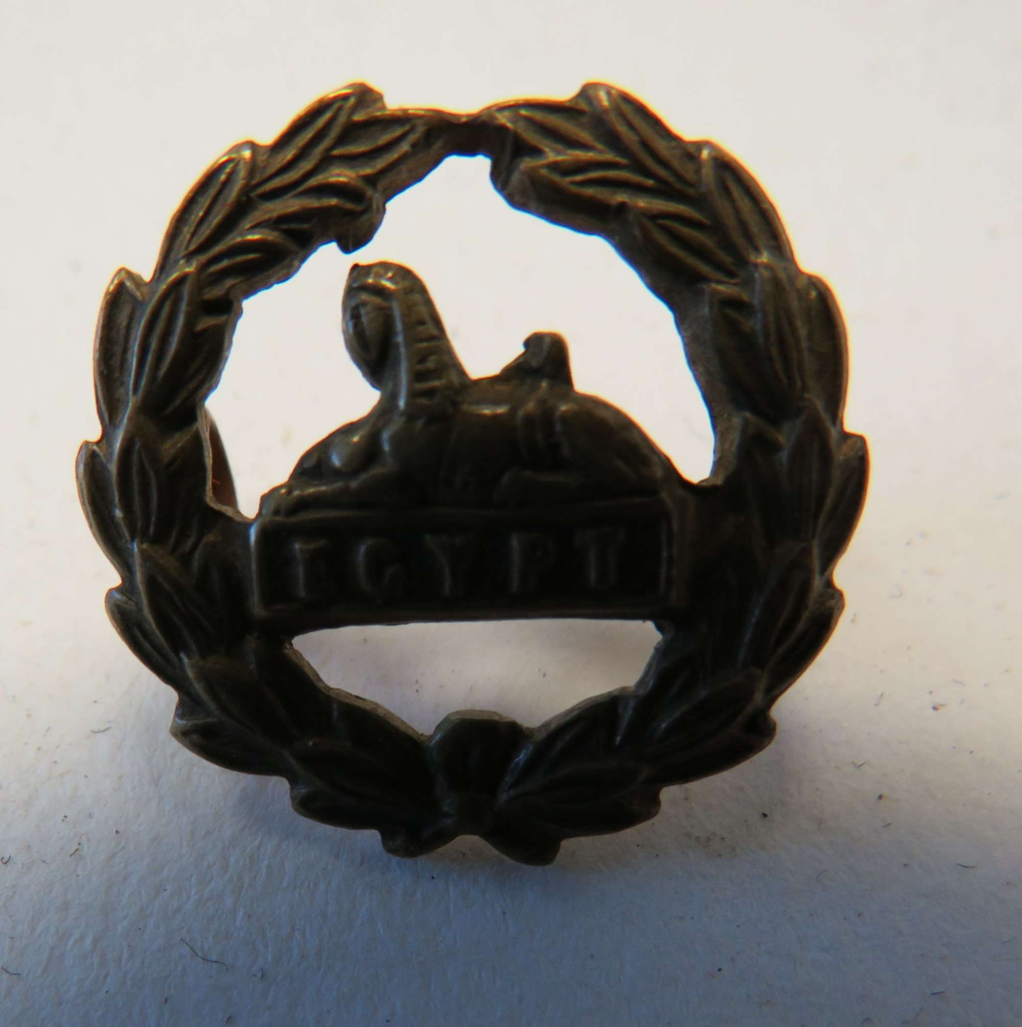 Gloucestershire Regiment Cap Back Badge