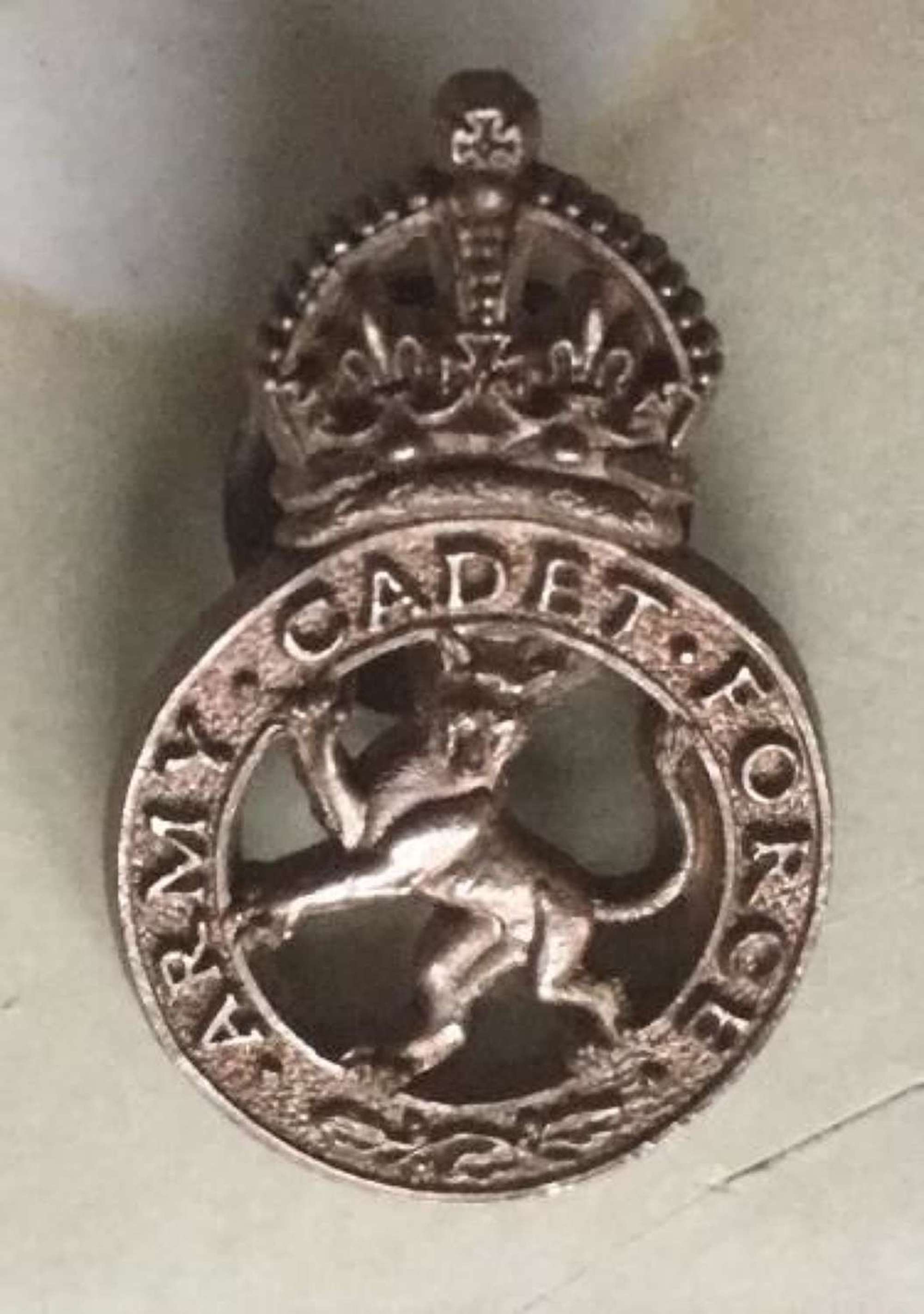 WW2 Army Cadet Force Plastic Lapel Badge