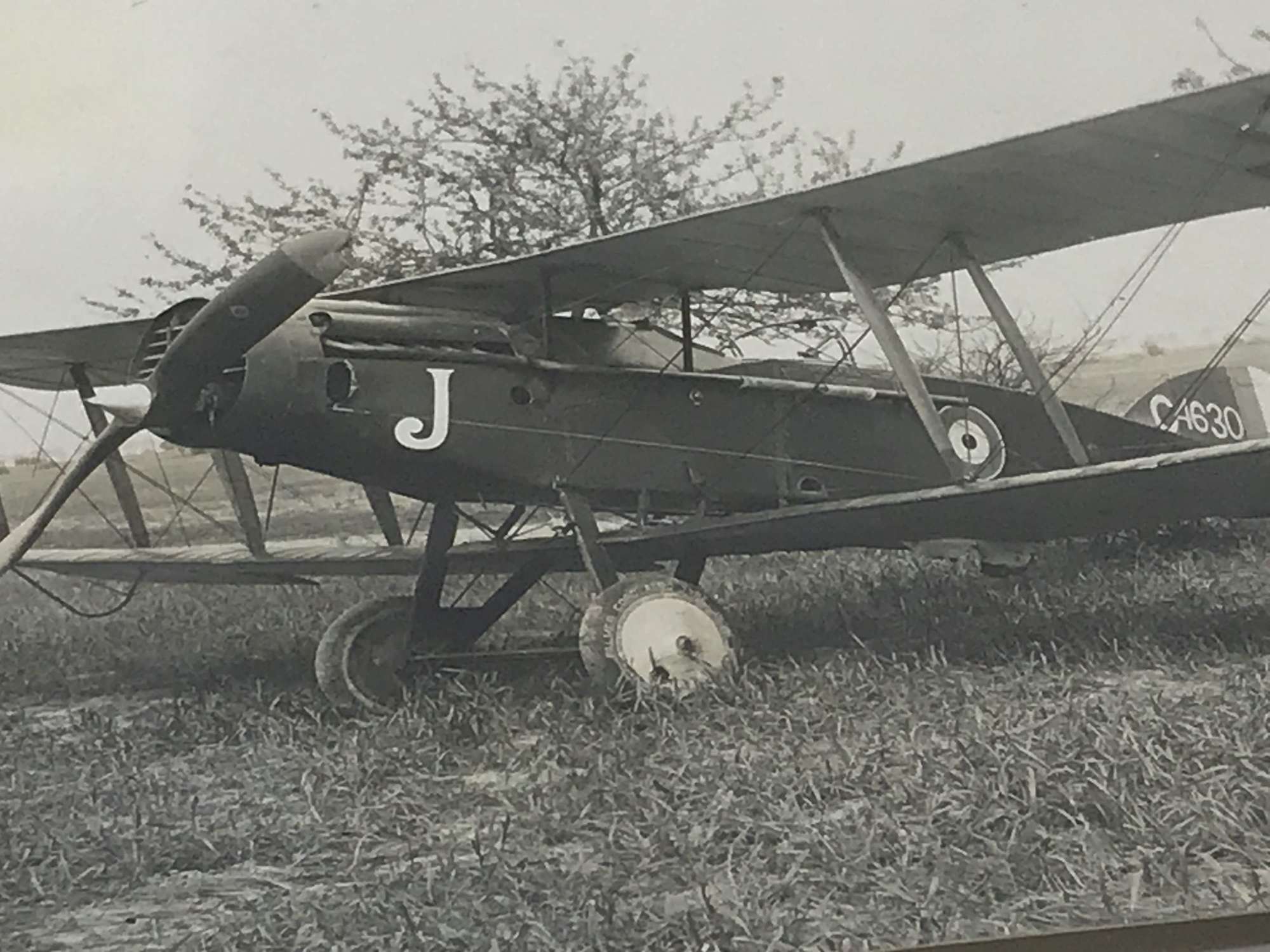 Photograph of a Bristol fighter C 4630