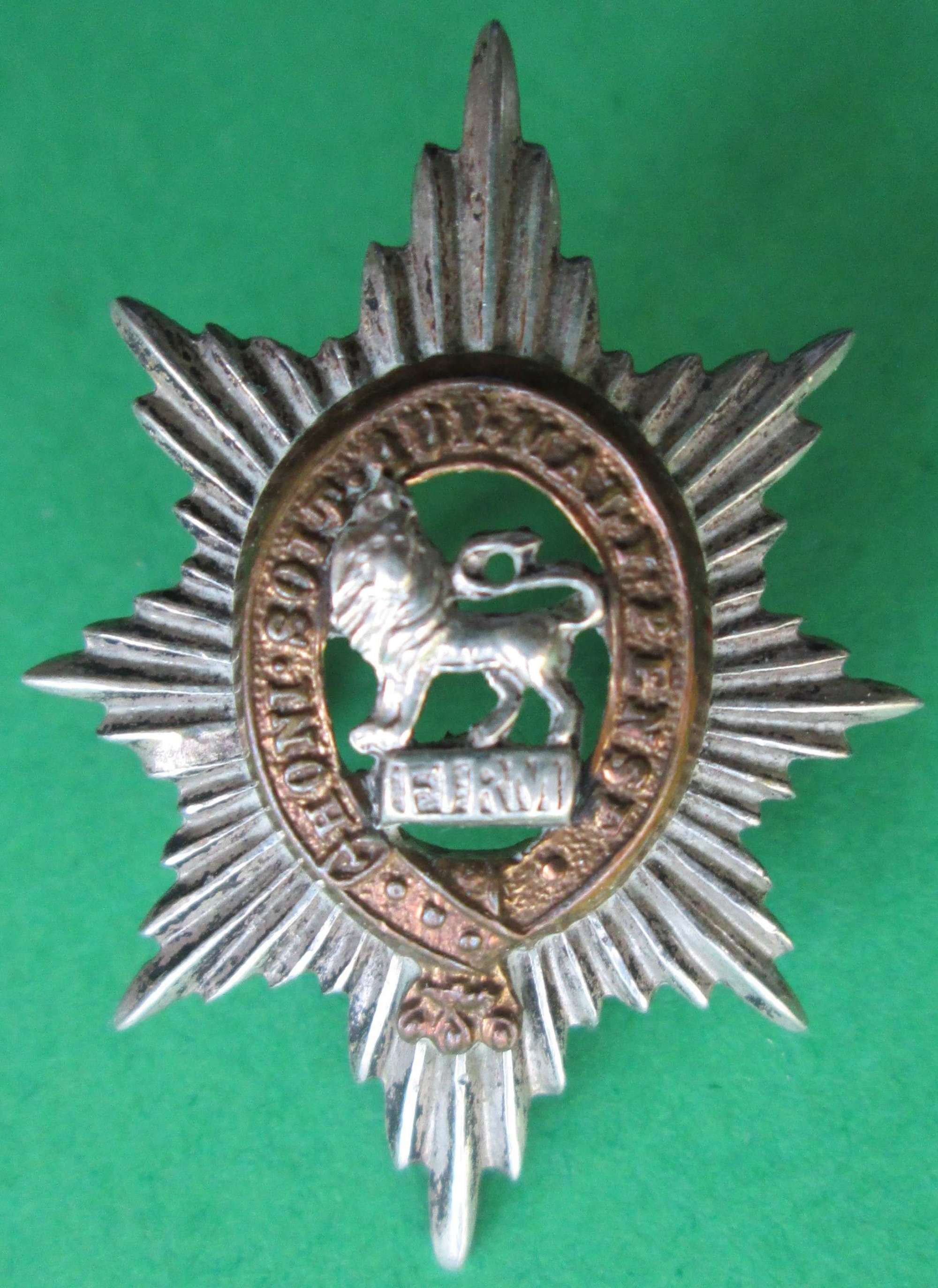 A WORCESTERSHIRE REGIMENT OFFICERS SILVER PLATED COLLAR DOG