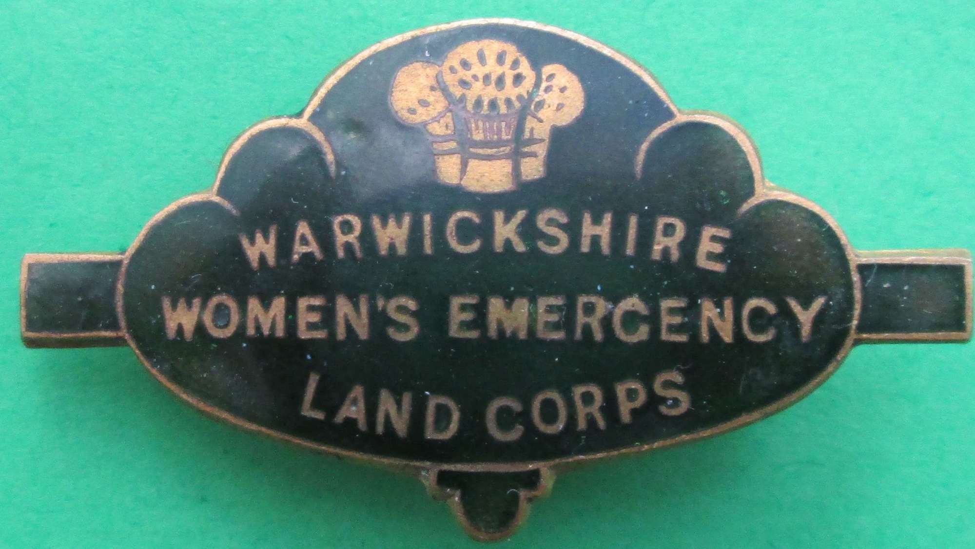 A WWII WARWICKSHIRE WOMENS EMERGENCY LAND CORPS PIN BADGE