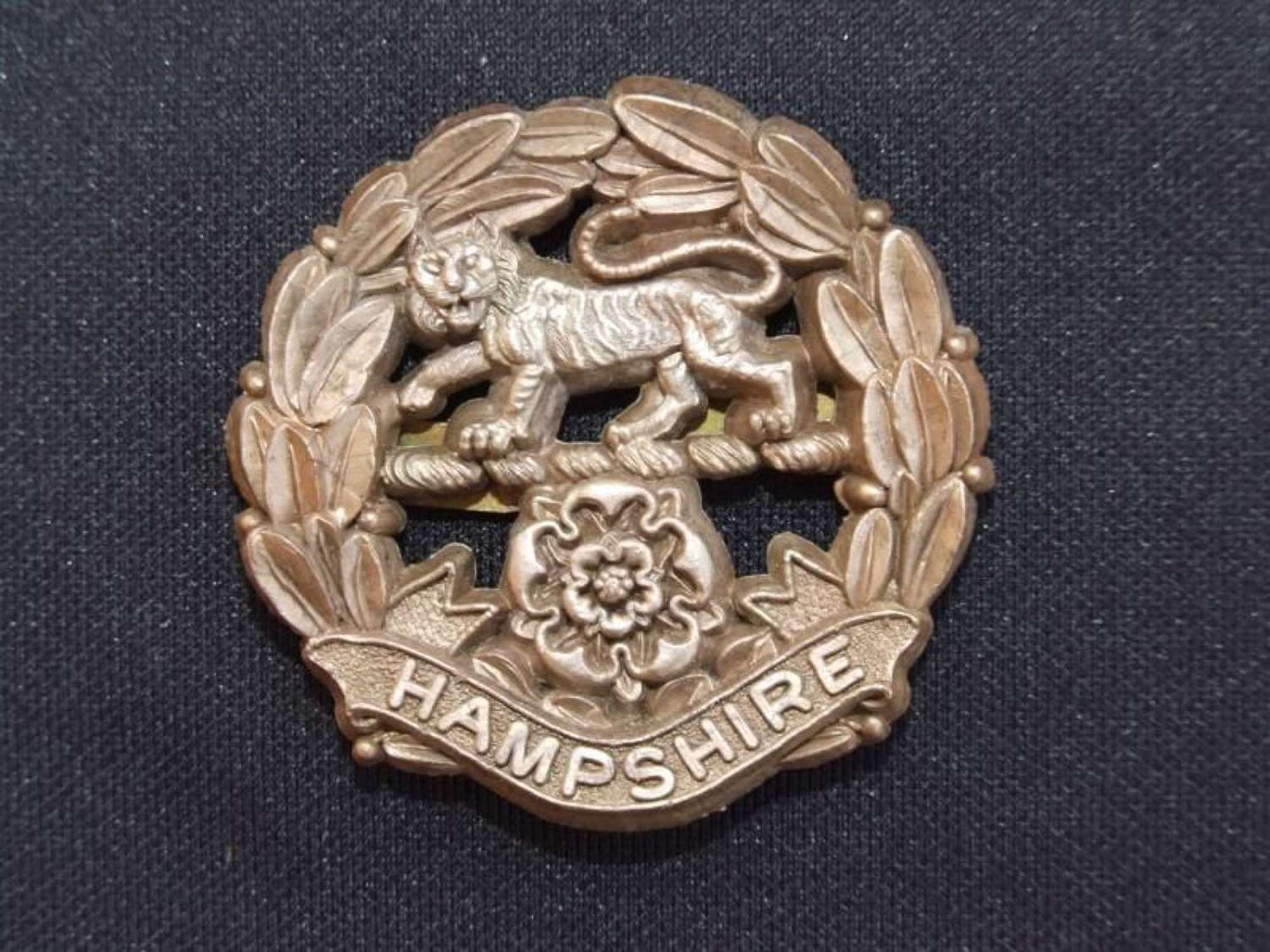 Wartime Plastic Economy Badge - The Hampshire Regiment