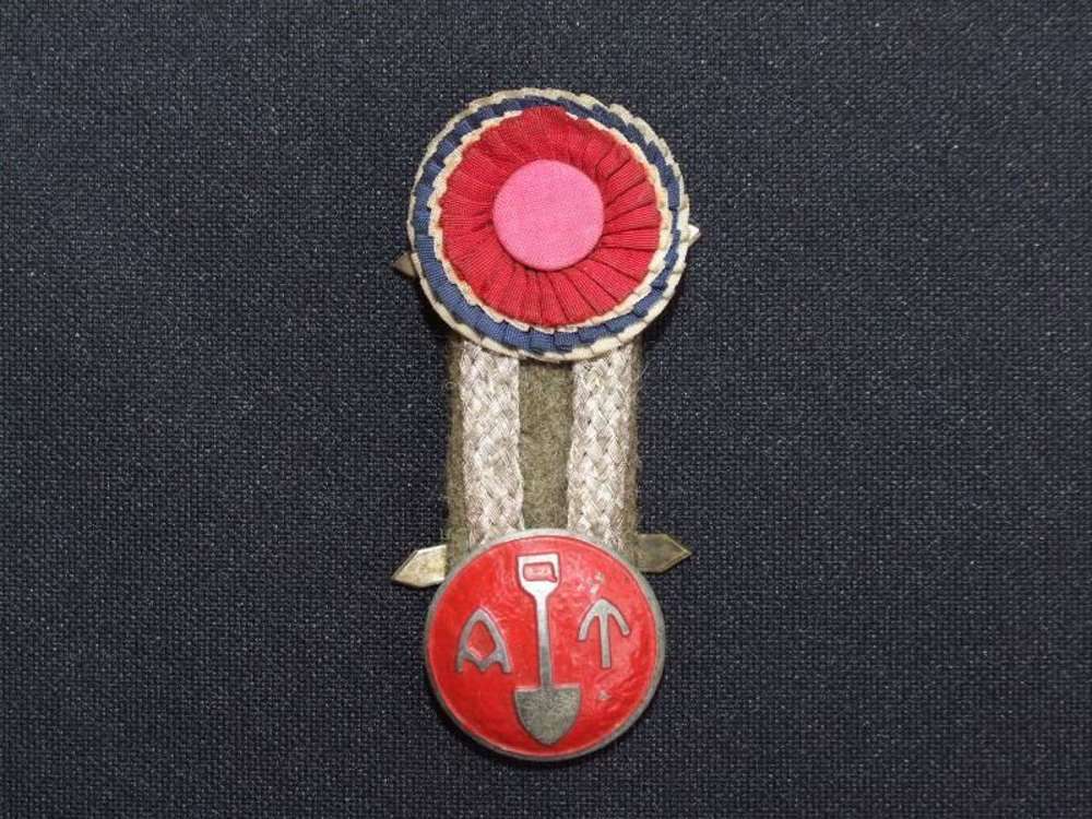 WW11 Norwegian Arbeidstjenesten (Volunteer Labour Force) Cap Badge