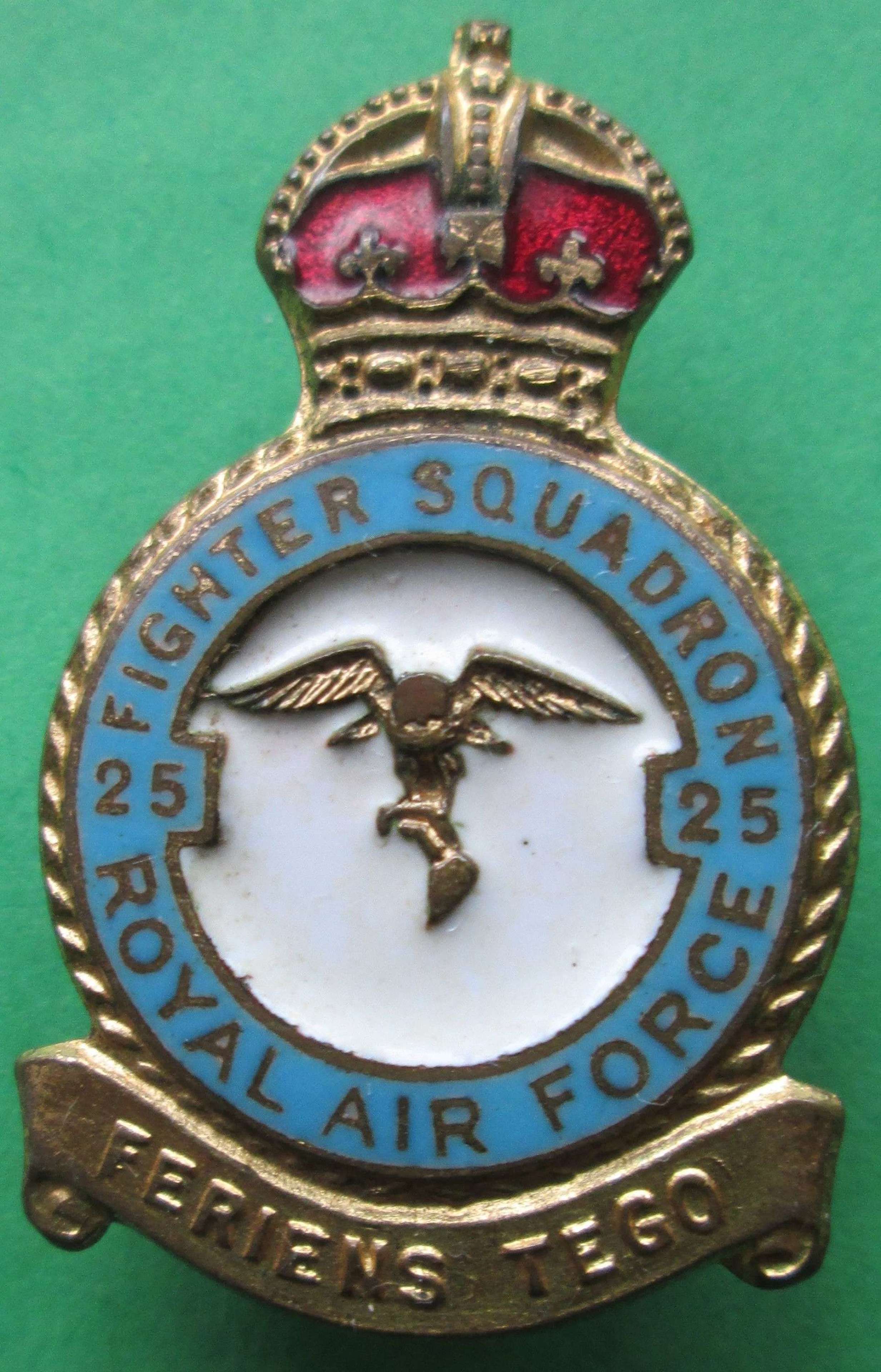 RAF SQUADRON 25 PIN BADGE