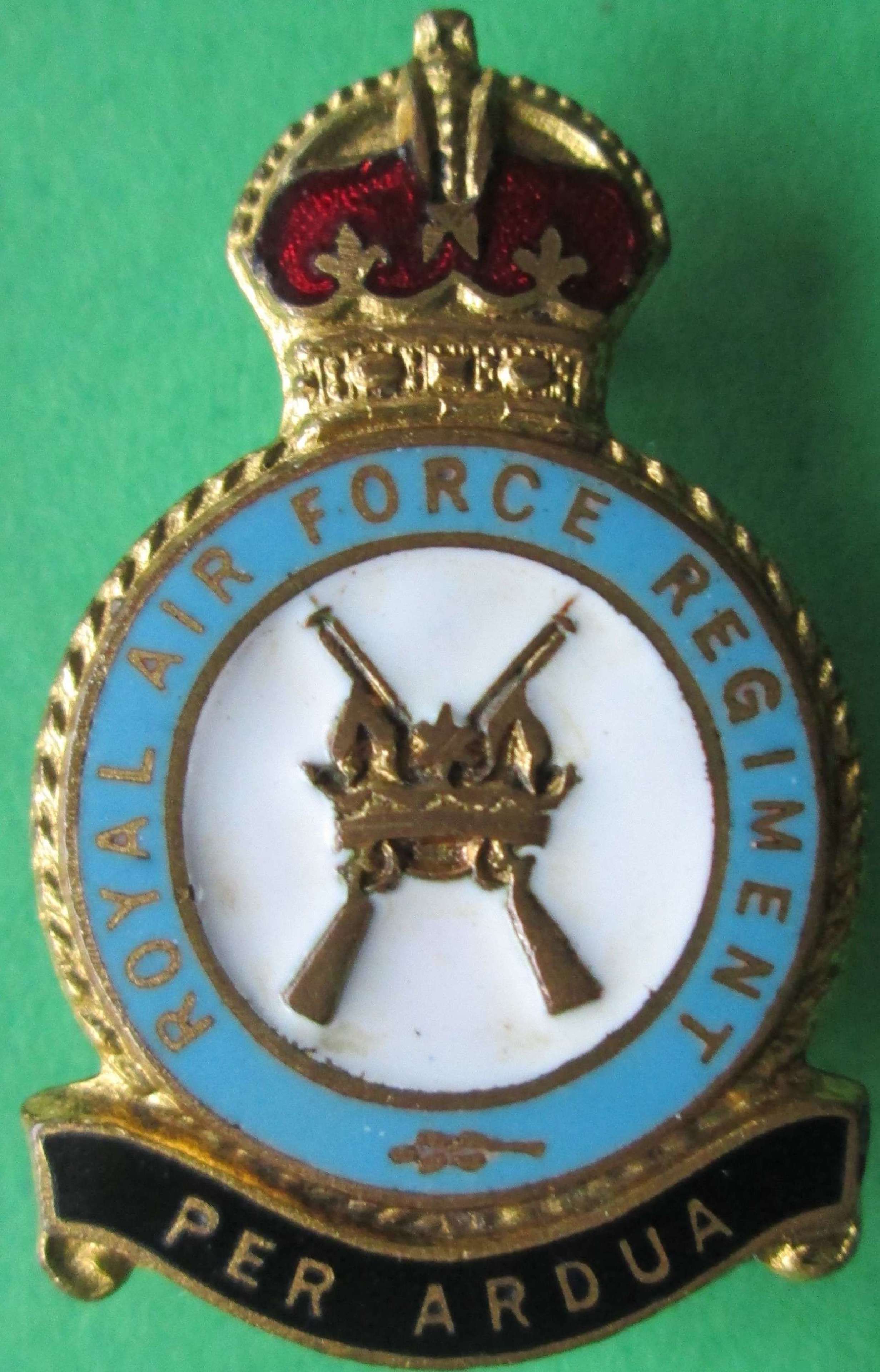 A RAF REGIMENT PIN BADGE