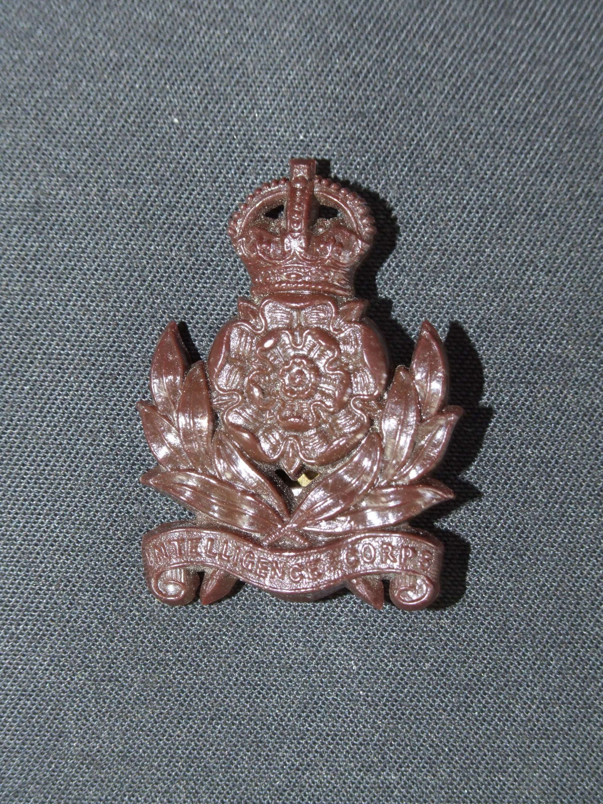 Intelligence Corps Plastic Economy Cap badge