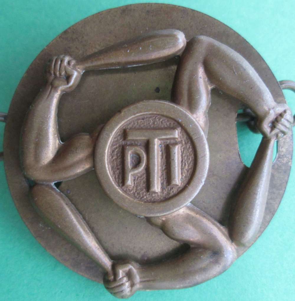 AN RAF PHYSICAL TRAINING INSTRUCTOR BADGE