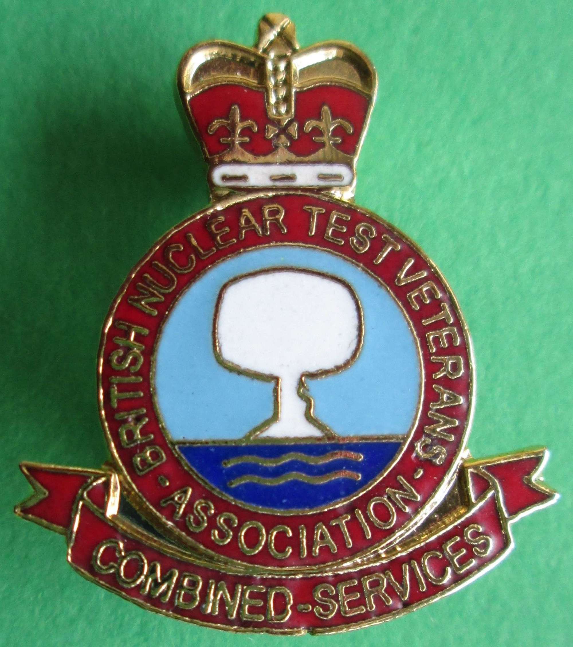 BRITISH NUCLEAR TEST VETERANS ASSOCIATION COMBINED SERVICES BADGE