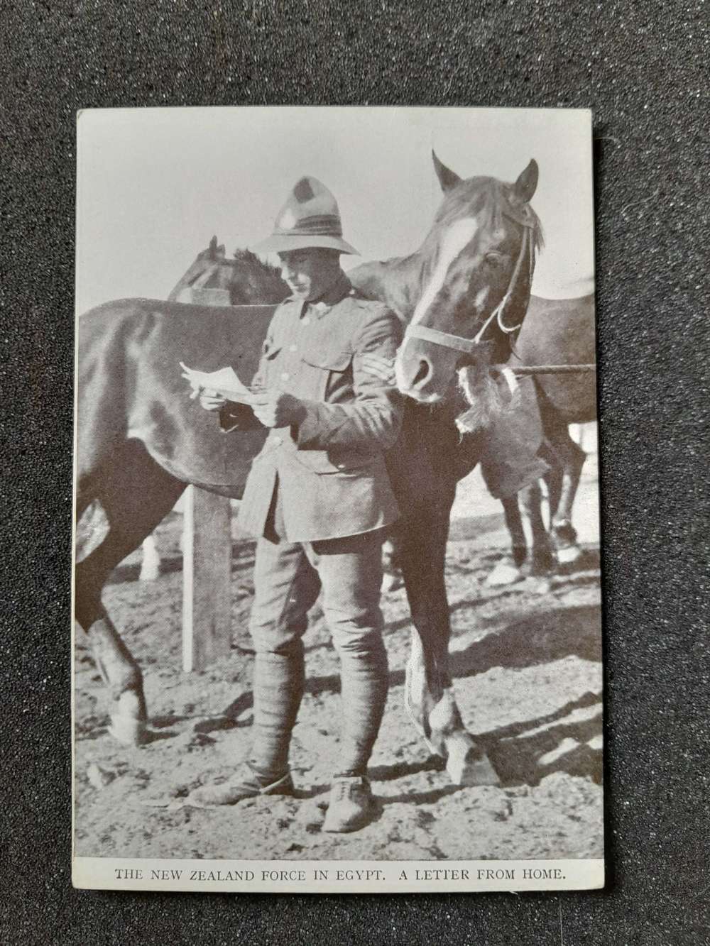 New Zealand soldier in Eygpt
