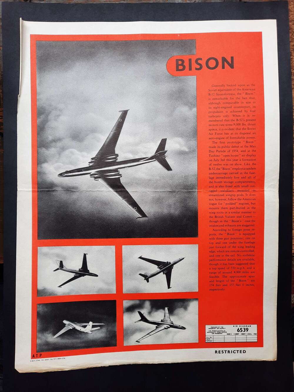 'Bison'&nbsp;Recognition Poster.