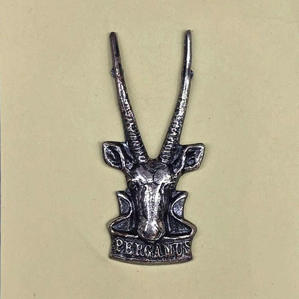 South West Africa Tactical Force Oxidised Silver Cap Badge